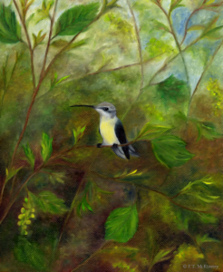 Hummingbird in Pollen, by F.T. McKinstry